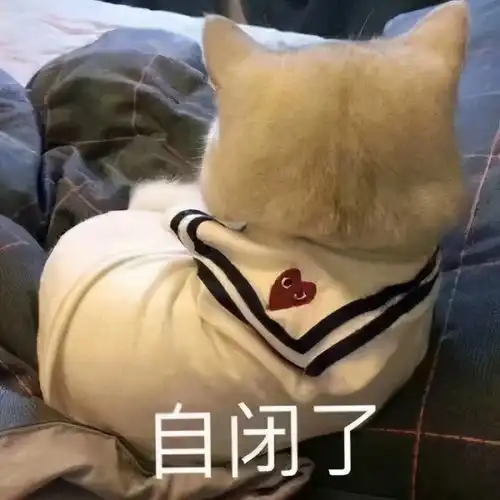 深夜吃不胖表情包考研