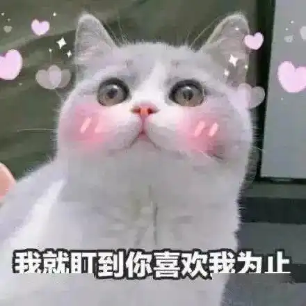 特别想你的可爱表情包单