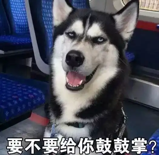 哈士奇高清表情包头像