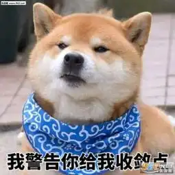  不要再来伤害我柴犬表情包大全我警告你给我收敛点柴犬表情包带字下载乐...