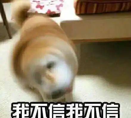  于正艺人撞脸郑爽,可为啥被骂的是郑爽