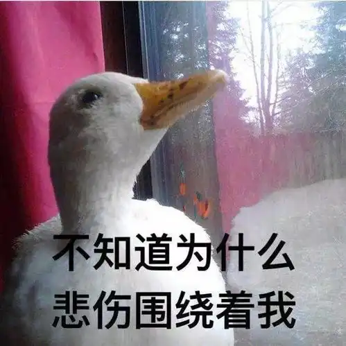  厉害了动物沙雕表情包赶紧马住