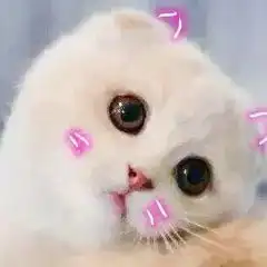 微信头像动态表情包动态