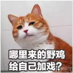  pdd与熊猫tv续约成功即将开播