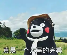 妙啊表情包小胖子东莞