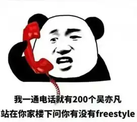  freestyle是什么鬼哈哈哈哈哈哈