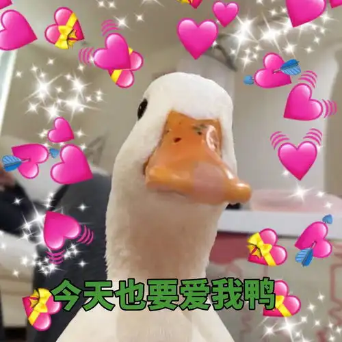 简笔画鸭子表情包捣蛋