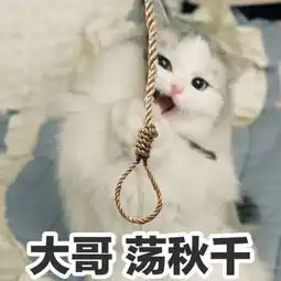 b站大佬弹幕指点江山,4月最强音乐番,被槽日式英语辣耳