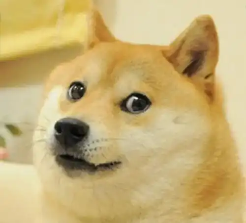  世界emoji日狗狗化身表情包,让你的沟通更有趣
