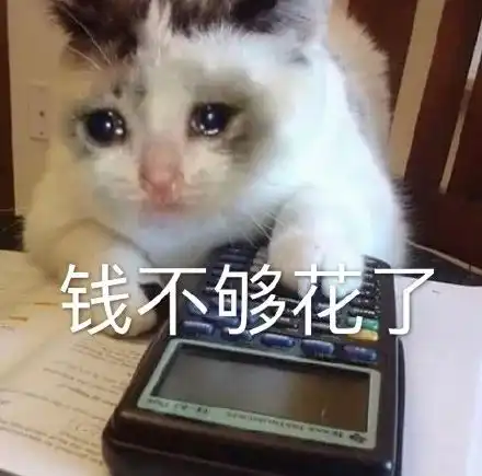  太嗨了泉州一女子熬夜追剧,刚刚发现