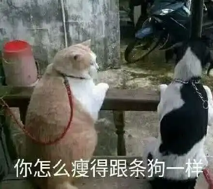消瘦熊猫头表情包洁癖