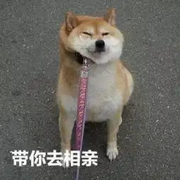  没有房子就找不到对象中山公园相亲角这一幕,刷爆朋友圈