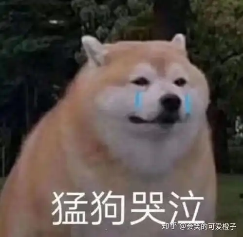  男生天天给你打电话是什么意思