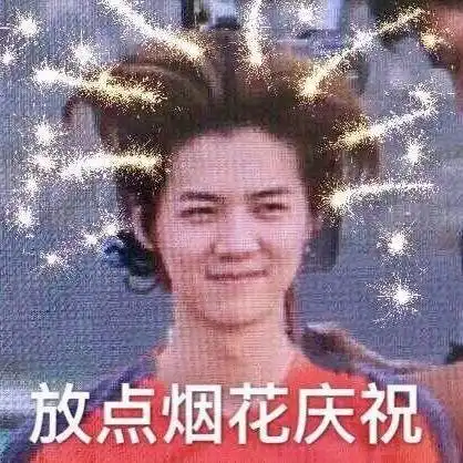 搬砖搞笑表情包烟花