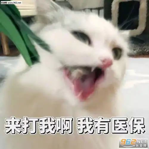 眼神表情包图片