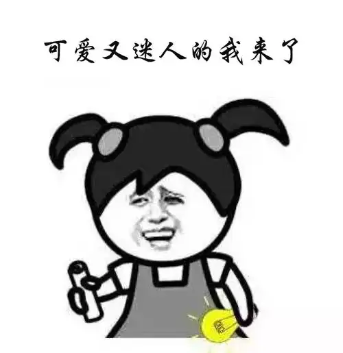 群里请勿发表情包有排