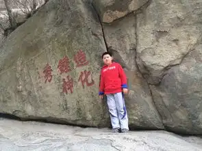  小驴的三山五岳之再登泰山2014年2月2日