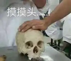  你遇到的好老师可以有多好
