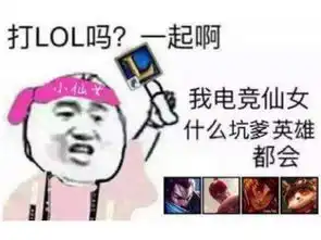 扔王者荣耀的表情包回放