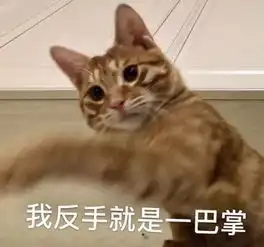  全新猫咪斗图表情包来啦