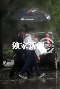  李亚鹏带家人会神秘女雨中肩扛李嫣过马路图
