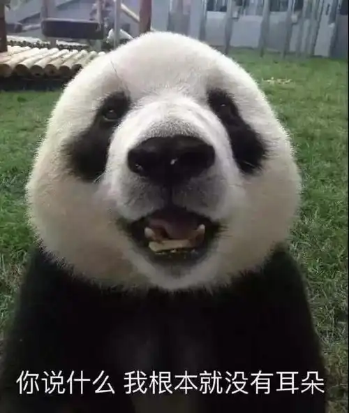  想要安静的看世界杯避免家庭矛盾的十条忠告