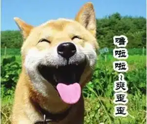  厦门人注意下月起夫妻买房得共同申请,单身狗不用再做这件事