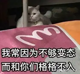  我们的考研梦