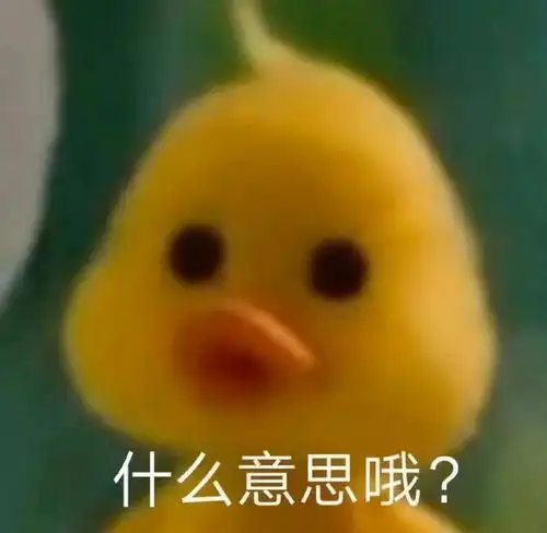 窃瓦拉格表情包鸭鸭