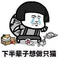  这么火的抖音表情,不拿去聊天多可惜