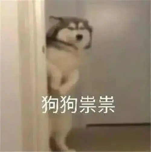  成年人最舒服的瞬间也许是这个时候
