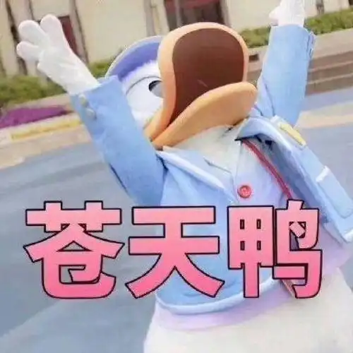  唐老鸭表情包大全54p