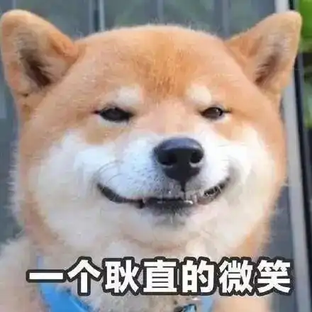  我在外地搬砖,我的猫在酒店看鱼