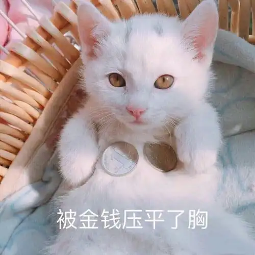 老婆,待会给我化个淡妆,我要同学聚会