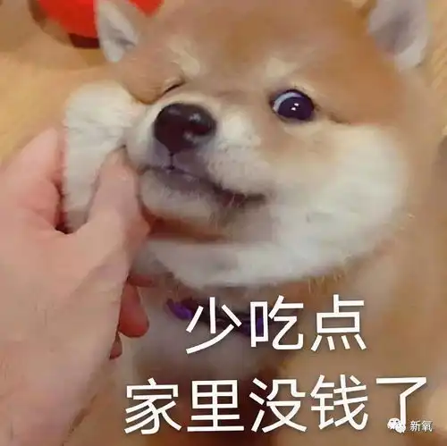  比胶原蛋白流失更残酷的,是每年以2速度消失的肌肉