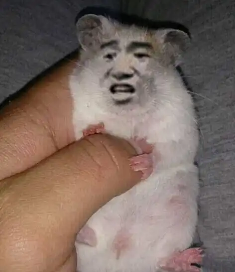  被黑客逼着上架的电影,票房超周星驰作品,如今恐要被被迪士尼雪藏了