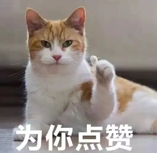 可爱猫咪表情包斗图专用