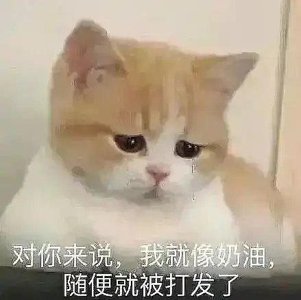  沙雕表情包我只会心疼giegie