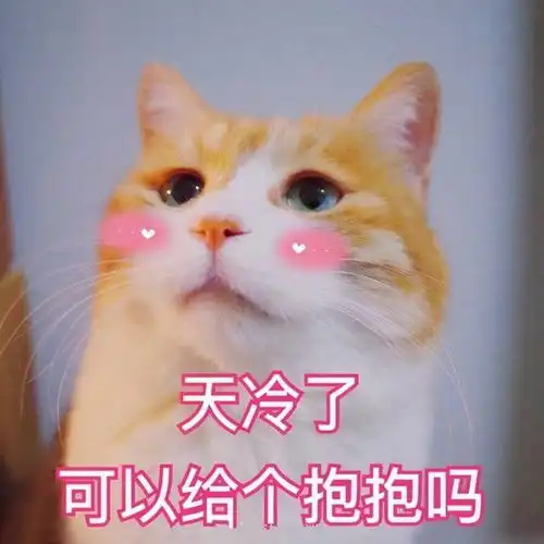  搞笑表情包小师妹的个人展示页