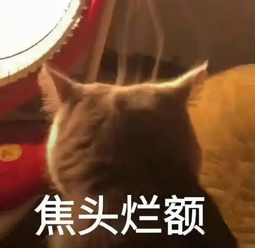 基础不好应该如何备考专升本怎么样科学复习