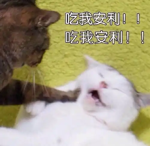  平均2集一个案件节奏这么快的侦探剧简直看的不要太爽