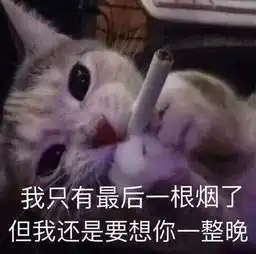  首款屏下隐藏摄像最完美全面屏一加6t发布会不用看了