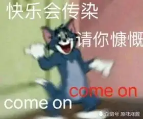  为什么剑姬诺手锐雯都不采用黑切加冰拳的出装方法