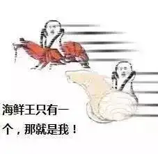  红极一时的鹦鹉兄弟已失宠表情包新宠皮皮虾横空出世