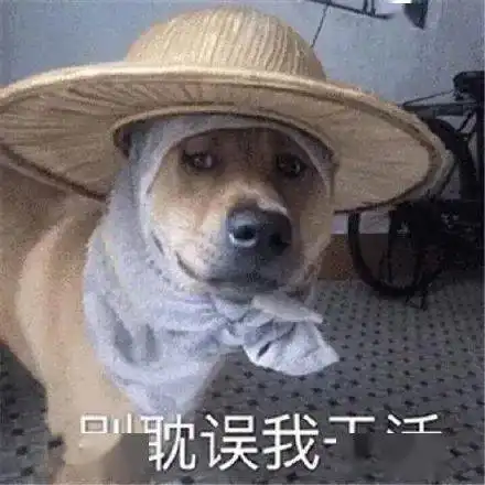  天鹅加强为超强台风,将于11月2日进入南海今年台风为啥集中出现专家这样说