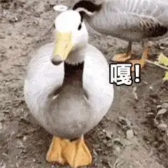  秀翻全场的低情商vs高情商