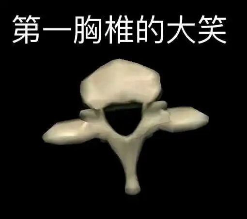  除了第五颈椎的微笑身体里还藏着好多表情包
