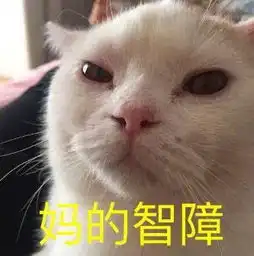  撸猫能手必备喵星拍照,猫咪行走表情包一个不浪费
