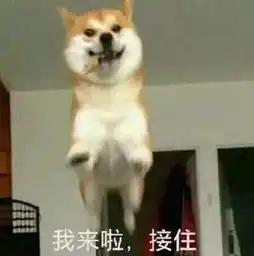  湖南首个寒潮预警发布气温最低跌至2入冬以来最冷的日子来了,这些事千万要注意
