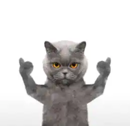 狗和猫的表情包蓝猫